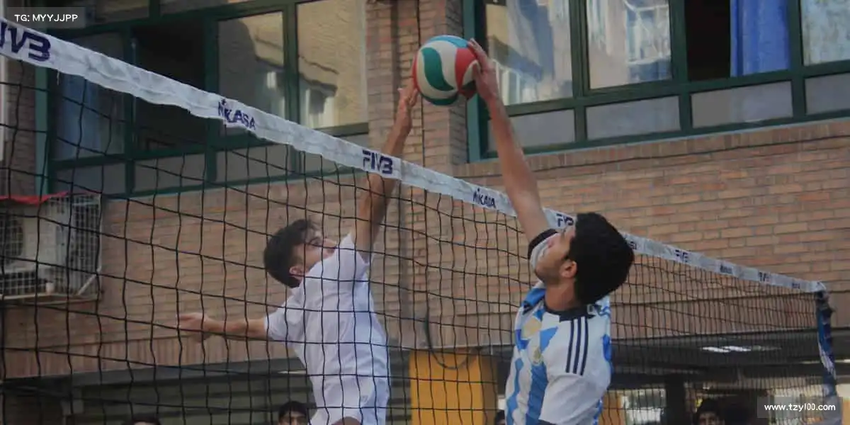 为什么选择我们